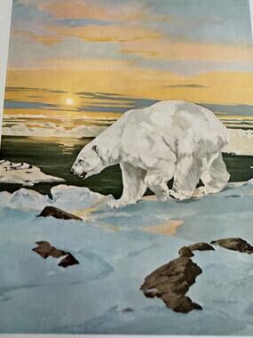 Polar Bear by Douglas Allen Winter Wildlife Bookplate Art Print ~ 260509-WH 173